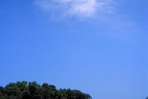 静岡市で信頼と実績の葬儀サービスを提供する富士葬祭 静岡：安心の葬儀プランと充実の施設紹介