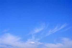 浜松市中央区の安心と信頼の家族葬・葬儀場【富士葬祭 植松町】の特徴と詳細情報