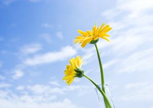 荒川区の安心葬儀をサポートする【ティア町屋】｜家族葬・一般葬に最適な葬儀場