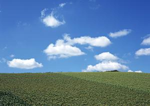 静岡県浜松市にある家族葬のタクセル天竜川駅前｜低価格・充実のサポート体制で安心の葬儀サービス