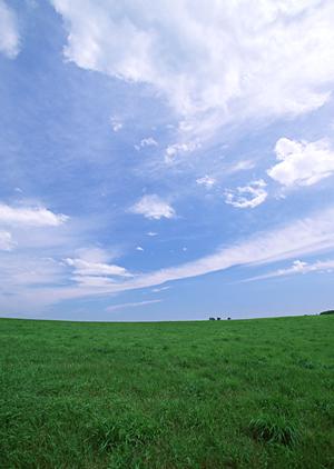 静岡市の信頼性高い葬儀サービス｜富士葬祭折戸の概要と特徴