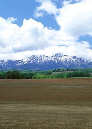 静岡県焼津市の安心できる葬儀サービス｜富士葬祭焼津の特徴と店舗情報
