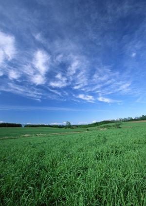静岡県富士宮市にある信頼の葬儀場｜富士葬祭 三園平の家族葬・火葬施設情報