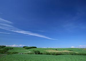 静岡市駿河区に新規オープン！家族葬のタクセル大和の魅力とサービス詳細