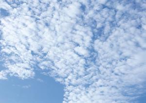 静岡県浜松市に新規開業！家族葬専門のタクセル葵西の魅力と特徴