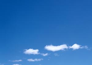 【2025年最新】鹿児島での葬式事情と失敗しない葬儀社選びのポイント