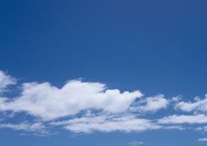 静岡県富士市にある家族葬専門斎場「家族葬のタクセル国久保」：完全貸切の温かい葬儀空間を提供