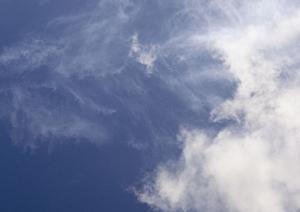 静岡市駿河区における信頼の葬儀サービス：富士葬祭 みずほの詳細ガイド