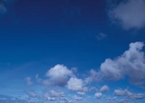 静岡市駿河区にある家族葬専門の葬儀場【家族葬のタクセル西中原】の特徴とサービス内容完全ガイド